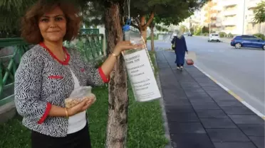 'MEYVE ÇEKİRDEKLERİ ÇÖP OLMASIN' FARKINDALIĞI BAŞLATTI