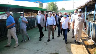 Başkan Erdem'den hayvan pazarına ziyaret