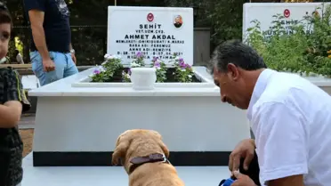 Şehidin emaneti ile şehide ziyaret