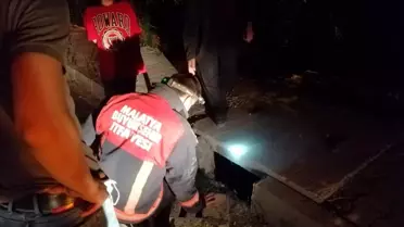 Menfeze düşen kediyi itfaiye kurtardı