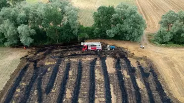 Son dakika haber! Sinop'ta saman tarlasında yangın