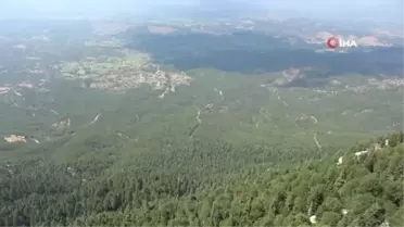Binlerce kilometre uzaktan bu manzarayı görmek için geliyorlar