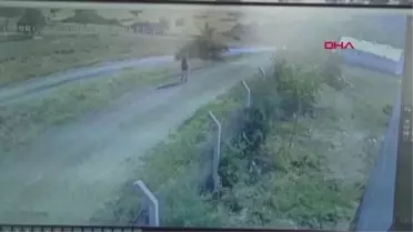 Üniversiteli Onur kaçan kurbanlığın peşinden gitti, kayboldu (2)