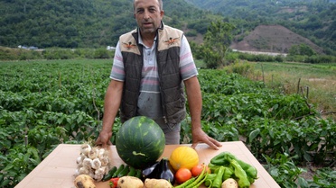Son dakika ekonomi: Atıl durumdaki araziyi ekilebilir hale getirdi, 2 milyon lira kazanç bekliyor