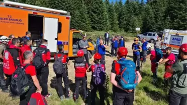 Uludağ'da kaybolan kadını arama çalışmaları sürüyor