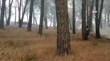 Son dakika haber! İtalya'nın Sardunya Adası'nda büyük yangın