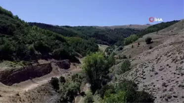 Kelebek gözlemcisi ve fotoğraf sanatçısı Yalçın: 'Gümüşhane'de kelebek popülasyonu yok oluşun eşiğinde'