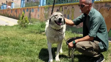 Ölüme terk edilen köpekle engellilerin 'Dost'luğu devam ediyor