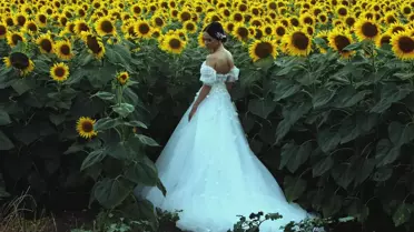 Ayçiçeği tarlaları doğal fotoğraf stüdyosuna dönüştü
