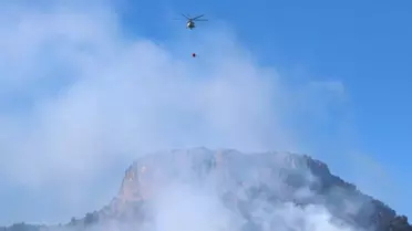 Son dakika haberleri | Kozan'da orman yangını devam ediyor, havadan müdahale başladı