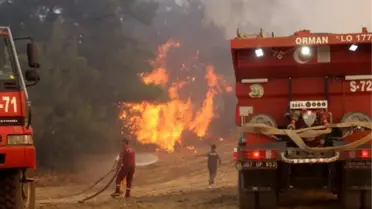 Manavgat'ta alevlerin arasında kalan 2 yangın işçisi hayatını kaybetti
