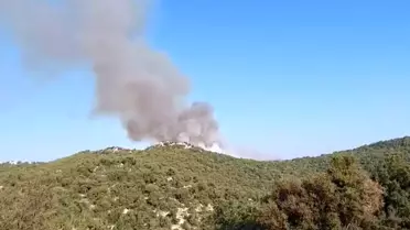 Son dakika haberleri... Demre'de de orman yangını çıktı