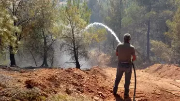 Uşak'ta çıkan orman yangını büyümeden söndürüldü
