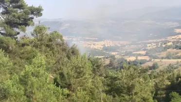 Dursunbey'deki orman yangını kontrol altına alındı
