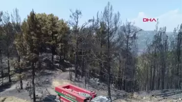 Son dakika haber! ANTALYA 2 KAHRAMAN ORMANCININ HAYATINI KAYBETTİĞİ ARAZÖZ DİREKSİYON SİMİDİNE KADAR YANIK