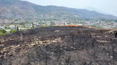 Samandağ'da otluk alanda çıkan yangın kontrol altına alındı