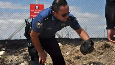 Atış poligonunda çıkan yangında kaplumbağayı yanmaktan polisler kurtardı