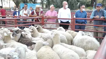Emirgazi'den Manavgat'taki hayvan yetiştiricilerine anlamlı yardım