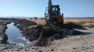 Enez ilçesinde flamingolara can suyu verildi