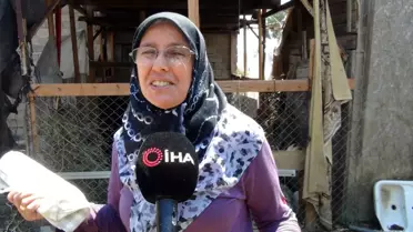 Son dakika haberleri: Manavgat'ta canı pahasına yangından küçükbaş hayvanlarını kurtardı: 'Keçilerim yansa, vicdan azabından yaşayamazdım'