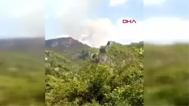 ALANYA'DA ORMANLIK ALANDA YANGIN
