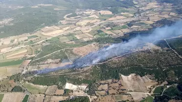 Son dakika! Bergama'da ağaçlandırma sahasında çıkan yangın kontrol altında