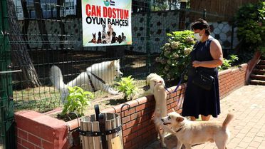 Evcil hayvanlar için 'Can Dostum' oyun bahçesi