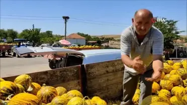Meşhur dalaman kavunlarının hasadı başladı