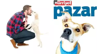 Biz bilinçlendikçe onlar daha iyi şartlara kavuşuyor