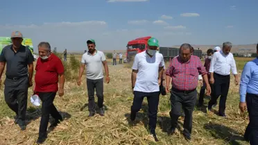 AK Parti Batman Milletvekili Ziver Özdemir mısır hasadına katıldı