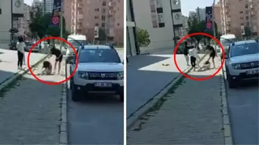 Kız kavgasını ayırmayıp kayda alan vatandaştan ilginç savunma: Elini sürsen tecavüzle yargılanırsın