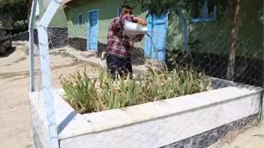 Son Dakika | 100 yıldır Sakarya şehitleriyle birlikte yaşıyorlar