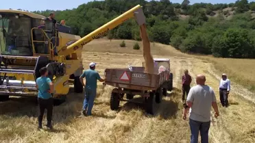 Kütahya'da yerli ve milli tohum seferberliği