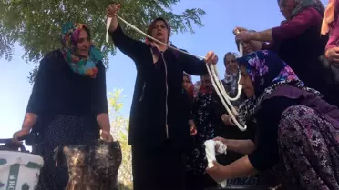Kadınlar el ele verip 8 çeşit peynir üretti