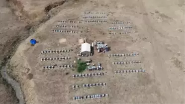 Yüksek rakımlı yaylalardaki göçer arıcılar zorlu bal hasadında