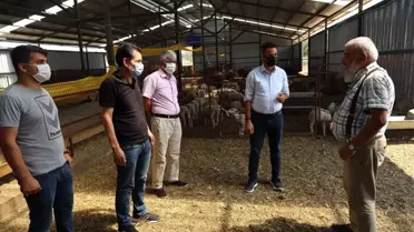 Küçükbaş hayvancılık işletmesinde incelemelerde bulundu
