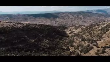 'Asla Unutma' belgeseli, televizyonda ilk kez TRT Belgesel'de ekranlara gelecek