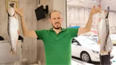 KARADENİZ'DE 'İSTAVRİT' BOLLUĞU; FİYATI YARIYA DÜŞTÜ