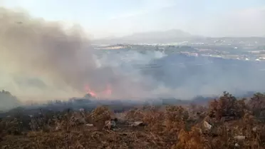 İzmir'de makilik alanda çıkan yangın kontrol altına alındı