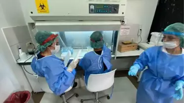 PCR zorunluluğu, Covid-19 laboratuvarında numune sayısını artırdı