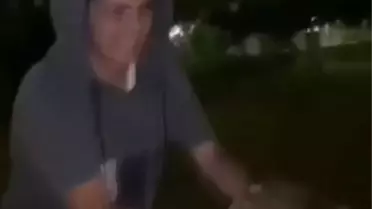 ARNAVUTKÖY'DE KEDİYİ HAVAYA FIRLATIP GÖRÜNTÜLERİ SOSYAL MEDYADA PAYLAŞTILAR