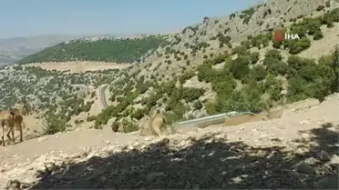 Fotokopana takılan belgesellik görüntüler