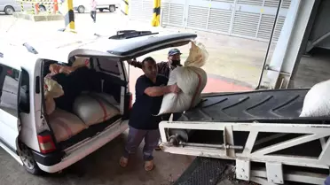 TMO'nun fındık alımları devam ediyor