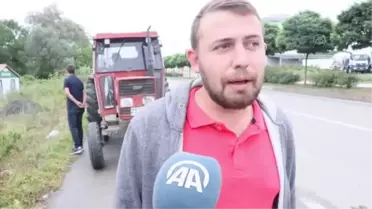 TMO'nun fındık alımları üreticinin yüzünü güldürdü