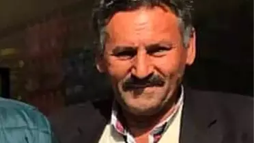 Son dakika haberleri: Üzüm toplamak isterken ağaçtan düşüp öldü