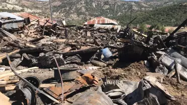 Son dakika haber! Çamlıdere'de çıkan yangında 8 ev, 7 samanlık ve 2 ahır kullanılamaz hale geldi (2)