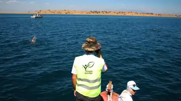 'Adır Adası'nda Yüzme Festivali' ilgi gördü