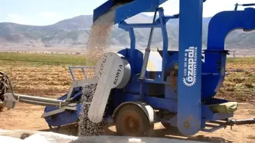 Bitlis'te bu yıl 40 bin ton fasulye hasadı bekleniyor