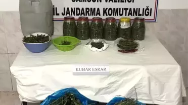 Bafra'da 10 kilo kubar esrar ele geçirildi