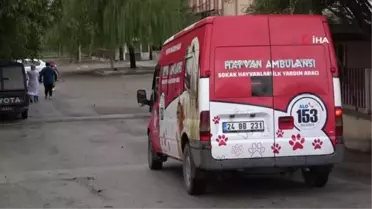 Erzincan'da 'hayvan ambulansı' hizmete girdi